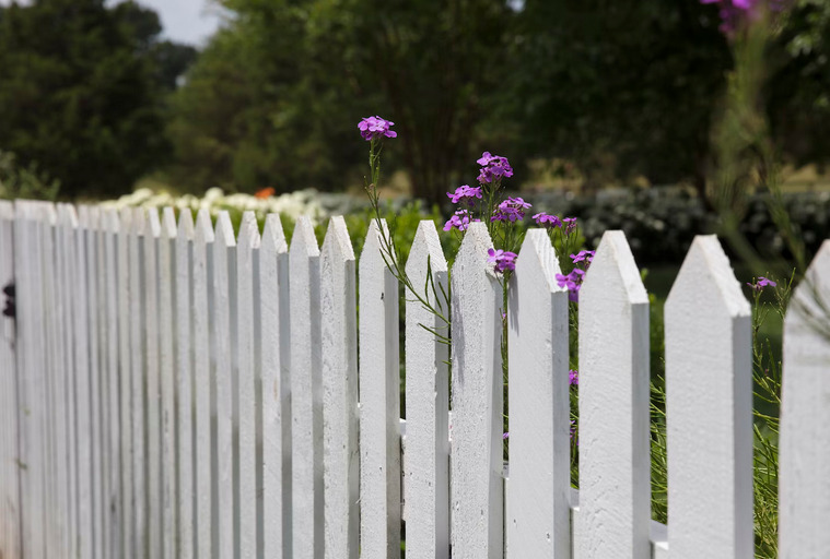 Install Fences